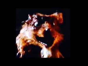 "I made a funny" Splinter original 1990 TMNT movie Teenage Mutant Ninja Turtles Jim Henson