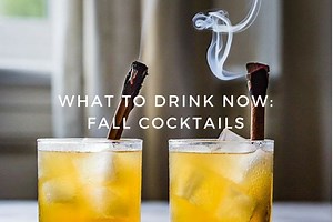 FALL COCKTAIL COLLECTION • the best cozy sips!