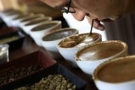 The Wire: The Wire News India, Latest News,News from India, Politics, External Affairs, Science, Economics, Gender and Culture