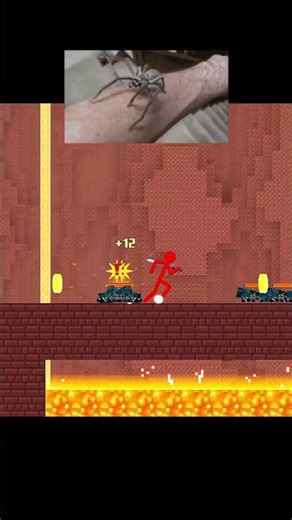 Bro It’s Just a Spider 💀 | Funny Minecraft Spider Moment! (Animation) #shorts