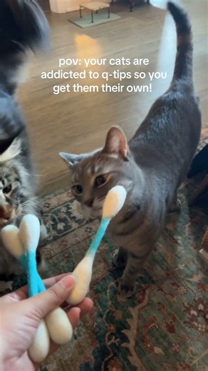 Cats Go Crazy for This Catnip Toy