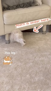 Silly Milo. | Milo Meets World