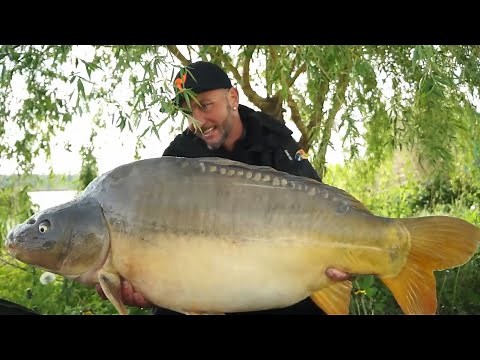 FEEDERMANIA - Feederbottal a Don Carp Lake -n