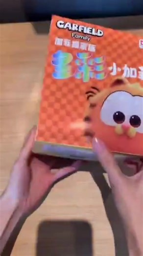 Garfield Family Doll Blind Box Unboxing Experience
