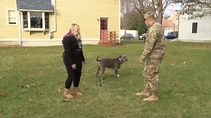 An Air Force Sergeant had a heartwarming reunion with his best furry friend when he returned home from Kuwait. | WXII 12 NEWS