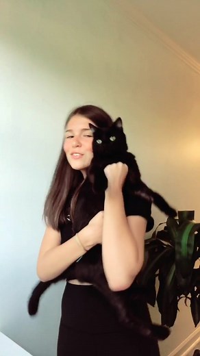 When your cat interrupts your tik tok #foryoupage #howrude #stillloveherthough 😂🥰