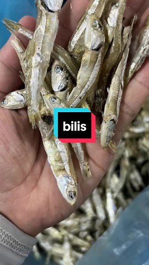 #sederhana #bilis #ikanbilis