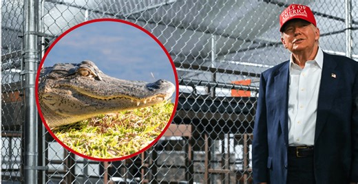 Inside 'Alligator Alcatraz' -- Trump Tours Immigration's Newest Prison