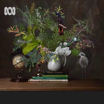 646K views · 13K reactions | Sydney-based photographic artist Pamela Pauline digitally stitches together images of local flora and fauna to create eye-catching artworks. | ABC Arts | Facebook