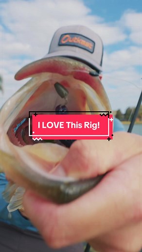 Swimming Worm Rig for Grassy Lakes | VMC Hybrid Hook