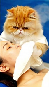 The Cutest Face Wash Tutorial Ever 🐱💕