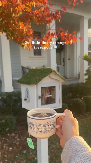 Exploring Our Little Library Through the Seasons