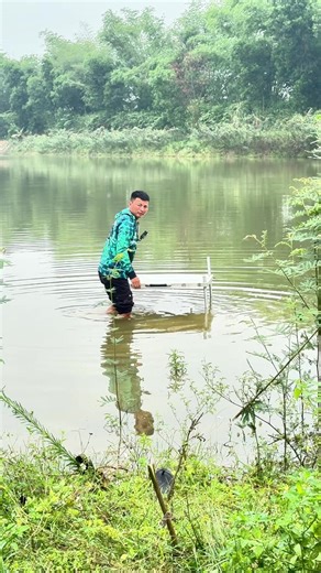 Đi câu mà tí làm rể xứ thanh #longphaque #longphaquế #mồicâuphúthành #câucá #fishing