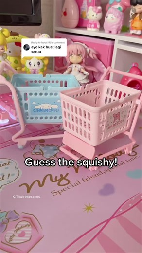 Tebak Squishy! Guessing Game with Cute Toys