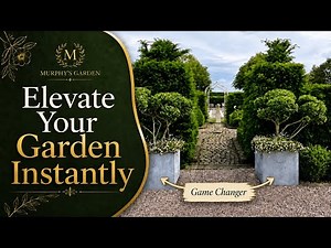 8 Container Gardening Tips for Designer-Looking Pots