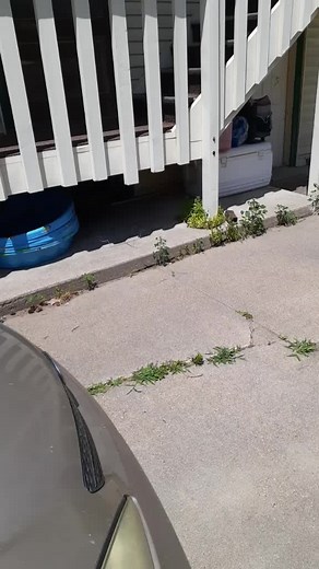 Jess Rhoades (@jessrhoades)’s videos with original sound - Jess Rhoades