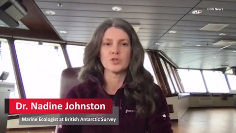 World's Largest Iceberg Stuck in South Atlantic Ocean