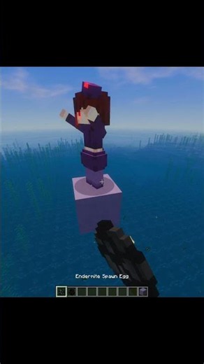 Minecraft Enderman Vs Endermite Moment