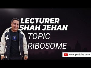 Ribosome (ist lecture)