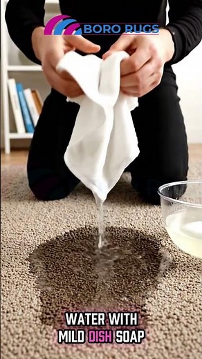 DIY Hack for Removing FOOT TRAFFIC Stains on Rugs