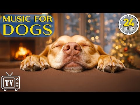 24 Hours of Music for Dogs Home Alone | Separation Anxiety Relief & Calming Stress Music for Dogs