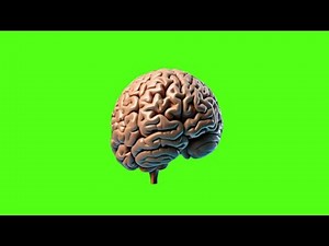 Human Brain Animation isolated on Green Screen background video
