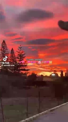 2 de diciembre de 2025