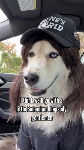 Champ & Tyson on Instagram: "Party on Wayne! Party on Garth! #waynesworld Wayne and Garth preforming the iconic Bohemian Rhapsody scene from Wayne’s World. 🌎 #huskies #halloween #diydogcostume #dogs #funnydogs"