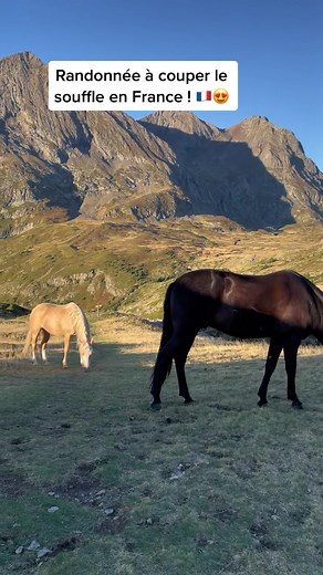Randonnée à cheval inoubliable en France ! 🇫🇷😍