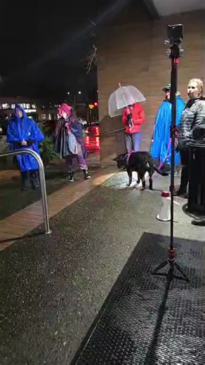 Cascade Forward on Reels