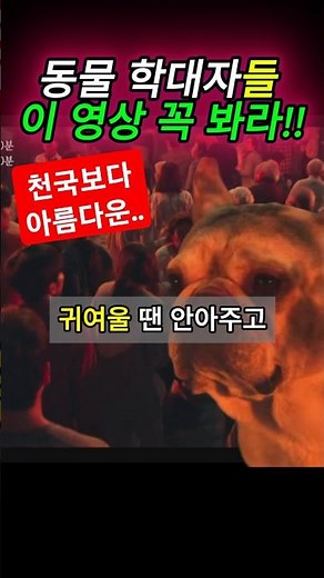 [천국보다아름다운6화]왜그런거니..짜장아ㅠㅠ인간은알수없는짜장이의마음#천국#지옥#짜장#동물학다#감동#넷플릭스