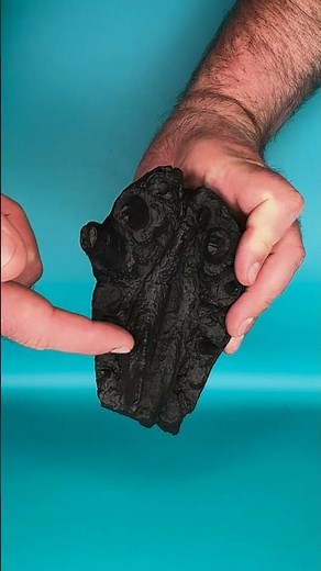 Have we found all of the dinosaurs? | University of Southampton