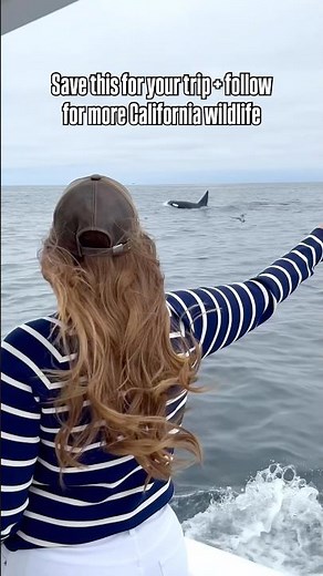 California’s Most Amazing Ocean Experience