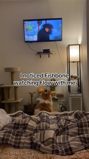 10/10 would recommend ⭐️ #fyp #flow #max #animatedmovies #flowmovie #m... | flow