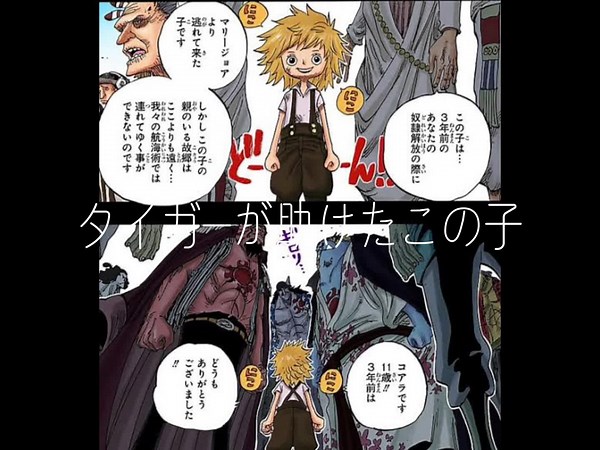 Revolutionary Army Koala in One Piece