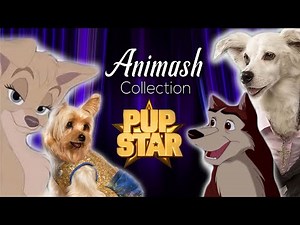 Pup Star - Animash Collection #1 (𝟒𝟎𝟎 𝐬𝐮𝐛𝐬𝐜𝐫𝐢𝐛𝐞𝐫𝐬!)