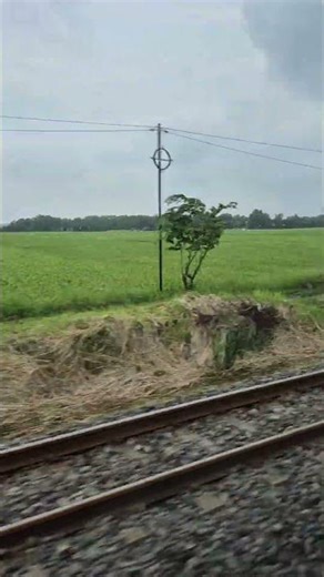 rice fields view from running train at Prupuk - mid java