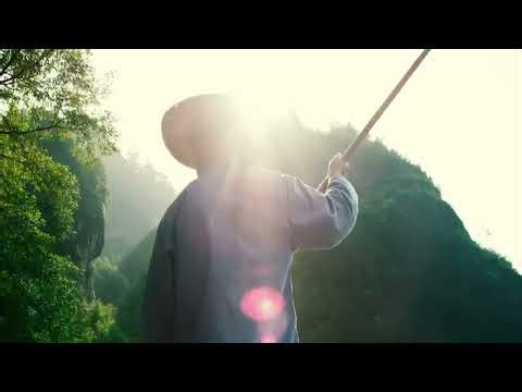 ORGANO - Ganoderma gyógygomba történelme, előnyei. A gyógynövények Királya HUN