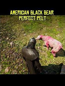 American black bear perfect pelt #rdr2
