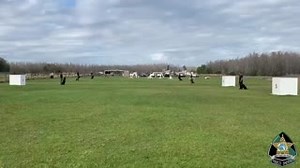 4.1K views · 288 reactions | Members of our K9 Unit conducting obedience training. Our K9 teams occasionally work together for calls, such as tracking for subjects. Most PSO K9s are very sociable. Training together helps them become more comfortable around each other. | Pasco Sheriff's Office | Facebook