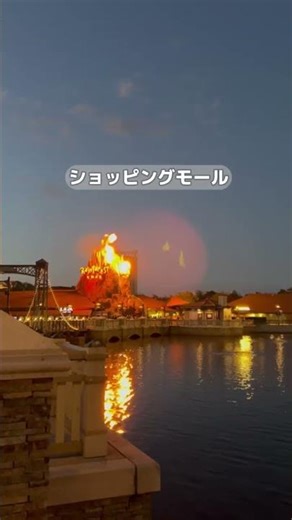 【アメリカ横断】34泊36日フロリダ編🇺🇸#アメリカ#海外旅行#アメリカ横断#アメリカ旅行