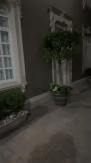 Another loop (still tryba get famous)