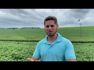 APLICAÇÃO DO TRICHODERMA - Como é feito ? 🤩🌱🧪❤️