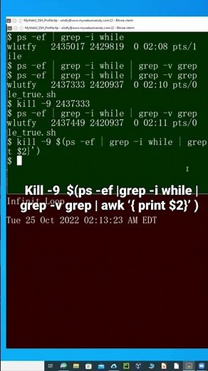 Linux: kill -9 PID of Run-Away or Infinite Loop