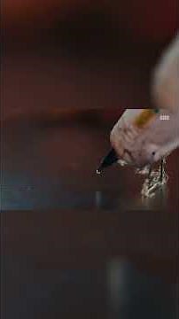 'My Strange Addiction' Jayden Addicted to Eating Hot Glue Every Day, Consumes on Camera