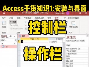 Access干货知识1:安装和操作界面