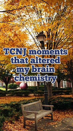 Favorite TCNJ Memories Shared by Students