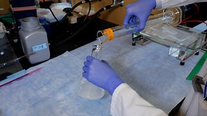 Author Spotlight: Characterizing DNA Replication of Pathogenic Repeats to Uncover Mechanisms of Replication Fork Stalling and Expansion