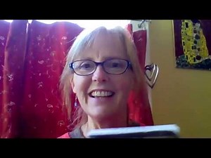 Chasing Vermeer Intro and Chapter 1