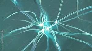 Exploring neural networks and their connections in artificial intelligence research